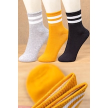 Bgk 3'lü Kadın Renkli Çizgili Çorap Extra Rahat  BGK-CMBR-25-Çok Renkli