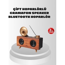 Çift Hoparlörlü Retro Bluetooth Speaker 1800mah Bataryalı Aux Usb Sd Kartlı - Lisinya