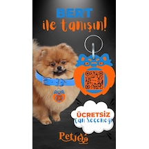 Petjoo 13.Bert Turuncu-Mavi Qr'lı Köpek Künyesi