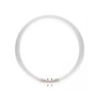 Osram Fc T5 22W/840 Simit Floresan Ampul