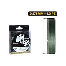 0.171 Mm - 1.0 Pe