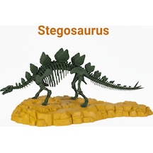 Stegosaurus İskeleti Kit Card - Eğitici Deney Seti