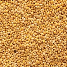Ak Darı Muhabbet Yemı Paket 400 Gr