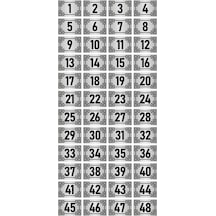 Metal Kapı Masa Dolap Numara Levhası 7x10cm Gümüş Renk 48 Adet (1…48)