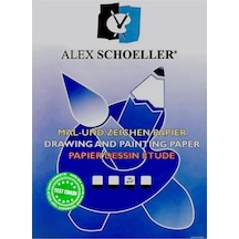 Alex Schoeller Resim Kağıdı 25x35 Cm 120 Gram 20'li Poşet Alx-787 A.kgt.rsm.120.71
