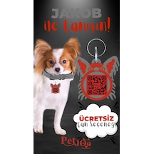 Petjoo 8.Jakob Kırmızı-Gri Qr'lı Köpek Künyesi