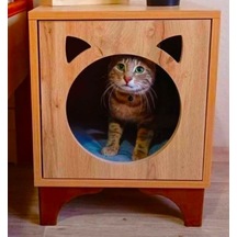 Modern Ahşap Kedi Evi 38 x 38 x 48 CM