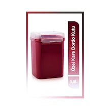 Tupperware Özel Kare Bordo Kutu 5.5L