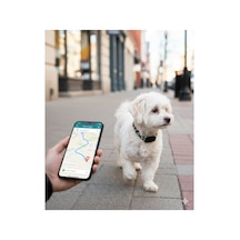 Evcil Hayvan Gps Takip Cihazı Kedi & Köpek İçin Konum Belirleyici Suya Dayanıklı, Sesli Uyarı Siyah