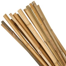 Bambu Sopası 180 Cm 16 -18Mm Bambu Çubuğu 5 Adet