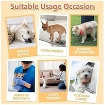 Petsoft Köpek Tuvalet Bez Kedi Tuvalet Bez Çiş Bezi X-large 12 Adet