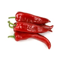 30 Adet Tohum Organik Acı Samandağ Biberi Tohumu Sürpriz Hediye Sebze Tohumludur