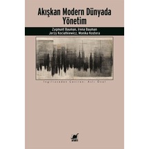 Akışkan Modern Dünyada Yönetim - Zygmunt Bauman -  Irena Bauman - Ayrıntı Yayınları