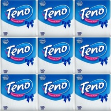Teno Peçete 12 x 100'lü