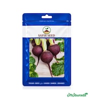 Safir Seed Kara Gülle Turp Tohumu 25 G