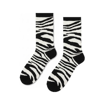 Carnaval Socks Zebra Milk Desenli Renkli Spor Çorap Çok Renkli