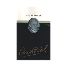 Ahşap Konak N11.29