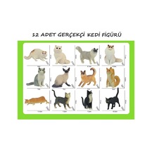 12 Adet Gerçekçi Kaliteli Oyuncak Kedi Figürü Bombay, İran Kedisi, British, Scottish, Smokin, Siyam
