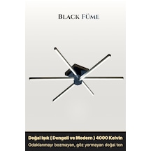 Doğal Işık