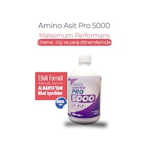 Amino Asit Pro 5000 500 Ml
