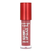 Gleamy Lip Glaze Lipgloss No:203 Rose - Renkli Dudak Parlatıcısı 0