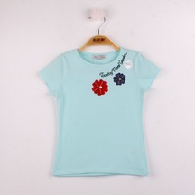 Mint Yeşili