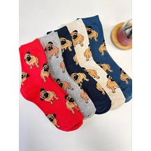 Homesocks Corgi Ayakkabıları 5 Çift Çorap Seti 227036463 Gri