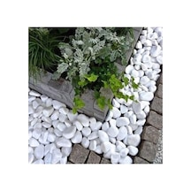 Ekodoğa Beyaz Dolomit 50 Kg 4-6 Cm Taş Dekoratif Dere Taşı Bahçe Süs Dolamit Loche No Çok Renkli
