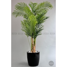 Yapay Areka Ağaci 220 Cm 4 Gövdeli Si Yah Yakut Saksıda Siyah