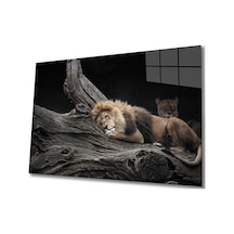 Aslan Cam Tablo