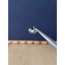 %100 G23 Titanyum Kedi Titanyum Model Titanyum Labret Kıkırdak Piercing Antra Melanj