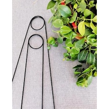 2 Adet Siyah Metal Destek Çubuğu, 65 Cm, Büyük Yapraklı Bitkiler İçin
