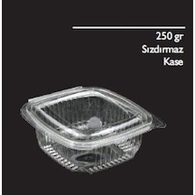 250 Gr Sızdırmaz Plastik Kab Kap Kase 100'Lü