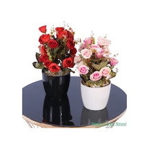 Yapay Çiçek Sitesi Plastik Saksıda Yapay Çalı Gülü Tanzimi 2'li Set 30 Cm Kırmızı - Somon Pembe
