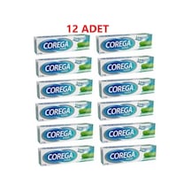 Süper Diş Protezi Yapıştırıcı Naneli Krem 40 Gr 12 Adet