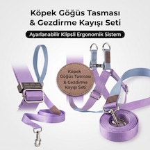 Köpek Gezdirme Tasması Büyük Boy Diğer