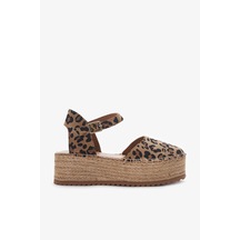 Leopar