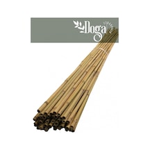 10 Adet Bambu Bitki Fidan Destek Çubuğu 190 - 200 Cm