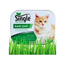 Single Natural Kedi Çimi