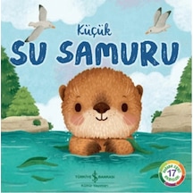 Küçük Su Samuru