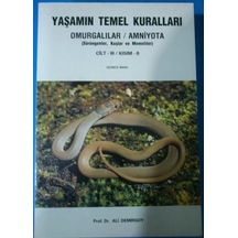 Yaşamın Temel Kuralları Cilt 3 Kısım 2