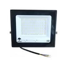 100w Led Projektör Ip66 Beyaz Işık 1