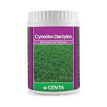 Genta Cynodon Dactylon Bermuda Çim Tohumu 500 Gr