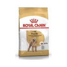 Poodle Adult Yetişkin Köpek Maması 3 Kg
