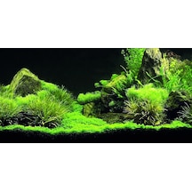 Kanki Pet Kp10552035 Akvaryum Arka Fon Yapıştırma 105 X 52 Cm