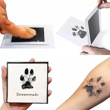 Kedi Köpek Pati İzi Fotoğraf Çerçevesi Seti Çok Renkli