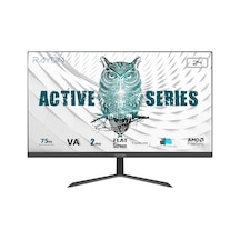 Raydın Alısa, 24", 2ms, 75hz, Full Hd, 250 Nits, D-sub, Hdmı, Frameless, Va Led Monitör Siyah