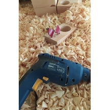 Cam