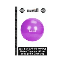 Özel Seri Xpt-85-purple Plates Topu Mor 85 Cm 1500 Gr Fit Ürün Güç