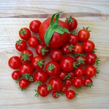 Doğal KahvaLılık Chery Domates Tohumu 5 GR